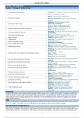 Gr10 English Literature&lowbar;Term 2