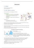 Samenvatting Immunologie&colon; van verdediging tot tolerantie &vert; KU Leuven &vert; 2025&sol;26