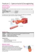 Samenvatting Practicum &vert; Algemene Fysiologie &vert; Universiteit Gent &vert; 2025&sol;2026