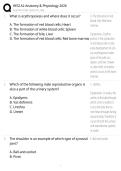 HESI A2 Anatomy & Physiology Practice Questions 2026 &vert; Nursing Entrance Exam Review