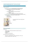 Samenvatting inspanningsfysiologie - deel prof Troosters - 2e bach kine