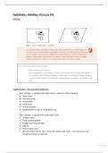 Samenvatting&comma; lesnotities en slides van psychologie van Andre Vyt