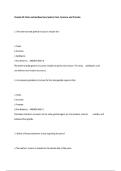 Chapter 23 Pelvis and Genitourinary System Penis&comma; Scrotum&comma; and Prostate