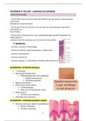 Hoofdstuk 5&colon; De Huid &vert; Anatomie en Fysiologie &vert; Arteveldehogeschool &vert; 2025&sol;26