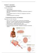 Hoofstuk 7&colon; Spierstelsel &vert; Anatomie & Fysiologie &vert; Arteveldehogeschool &vert; 2025&sol;26