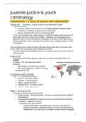 Samenvatting vak 'Juvenile Justice & Youth Criminology'