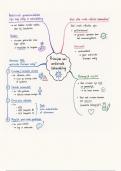 Infectieziekten 1 &vert; Hoofdstuk- Antivirale therapie &vert; Mindmap