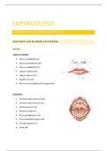 Laryngologie &vert; Neus-Keel-Oor &vert; Universiteit Gent &vert; 2025&sol;26