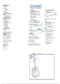 Schema Gluconeogenese &vert; Cel III&colon; Energie en metabolisme &vert; UGent &vert; 2025&sol;26