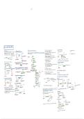 zelfgeschreven schemas cel III&colon; Energie en metabolisme 