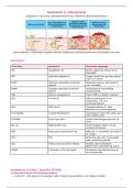 Infectie en afweer &colon; Inflammatie 