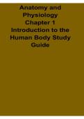  Anatomy and Physiology Chapter 1 Introduction to the Human Body Study Guide 2025&sol; 2026 Complete Medical Exam Preparation Material