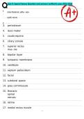 Quiz 8&colon; Special Senses Question and answers verified to pass 2025&sol;2026