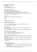 Methodiek Salto's &vert; Lichamelijke Opvoeding &vert; HvA &vert; 2025&sol;26