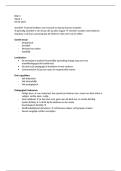 Pedagogisch bekwaam &vert; Blok 3 &vert; HvA &vert; 