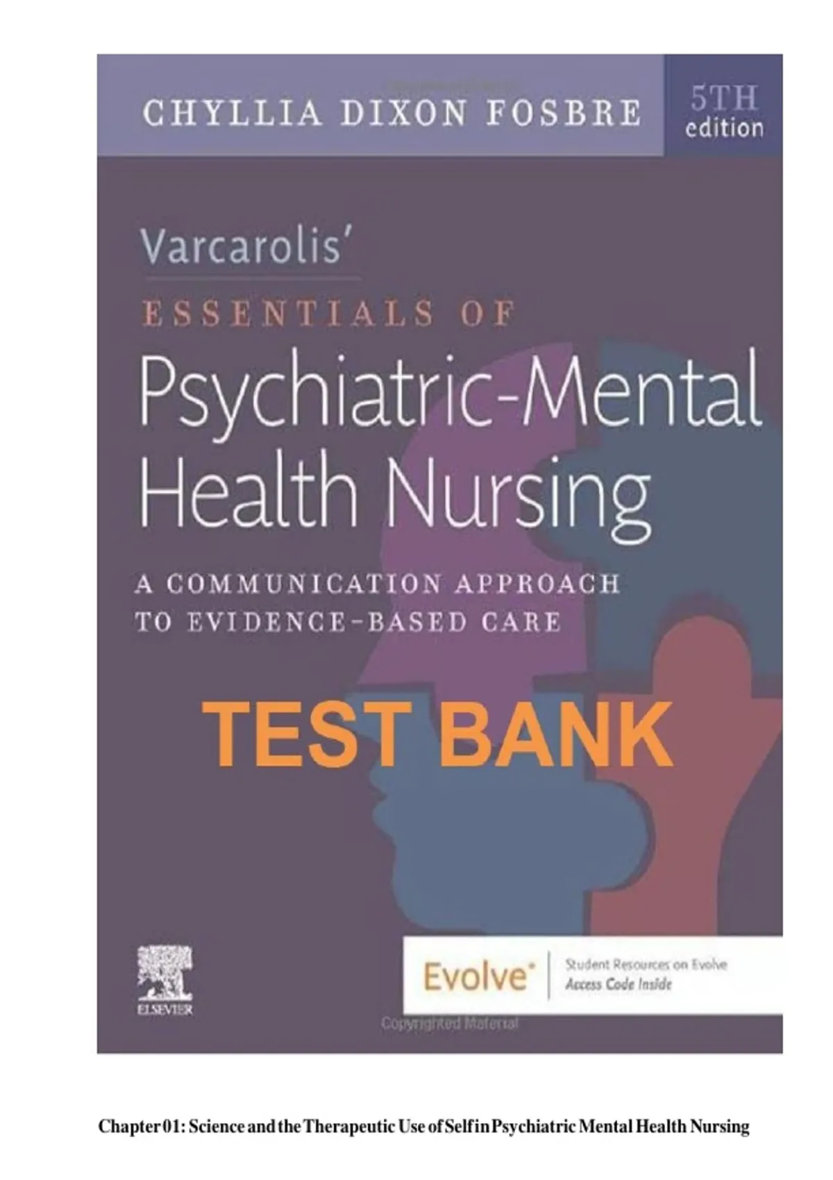 Varcarolis’ Essentials of Psychiatric Mental Health Nursing 5th Edition ...