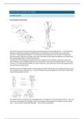 Neuro-Anatomie &vert; Topografische Anatomie II &vert; UGent &vert; 2025&sol;26