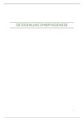 Embryologie en Teratologie &vert; H13-14 &vert; UGent &vert; 2025&sol;26