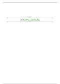 Embryologie en Teratologie&vert; H15-25 &vert; UGent &vert; 2025&sol;26