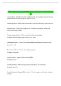 CPT 101 Concepts Exam &num;2 Questions and Answers Latest Graded A&plus;