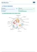 OCR A-Level Biology &vert; 2&period;1&period;1 Cell Structure &vert; Complete Revision Notes &plus; Diagrams