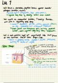 Anatomy and Pyshiology Part 2