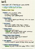 Anatomy and Physiology Part 3