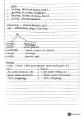 The Ultimate IELTS Guide
