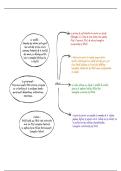 Fiches de r&eacute;vision notions philosophie bac