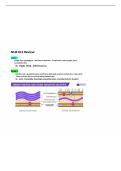 NUR 615 Module 2 - Antibiotics and Antimicrobial Therapy Overview &vert; 2026 Update with complete solutions&period;