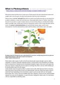 Study Guide Photosynthesis &vert; Science & Technology &vert; 2025&sol;2026