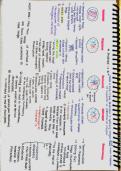 Biology Study Document &vert; VWO &sol; Gymnasium &vert; 2025&sol;2026