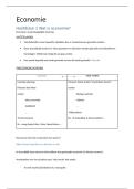Samenvatting Economie &lpar;mnr&period; Pype&rpar; &vert; VIVES &vert; 