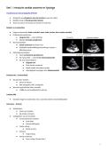 Samenvatting REVAKI CARDIO&colon; TIMMERMANS