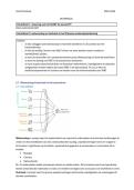 Samenvatting De Wereld &vert; Lager onderwijs &vert; KdG &vert; 2025&sol;26