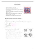 Neuroanatomie &vert; Biologische psychologie &vert; Arteveldehogeschool &vert; 2025&sol;26