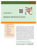 Human reproduction system 