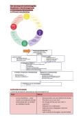 Marketing fundamentals Strategie en Plan 2025&sol;2026 Hogent