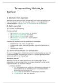 Samenvatting Histologie &vert; Epitheel &vert; UGent &vert; 2025&sol;26
