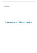 samenvatting urbanization in global perspective 
