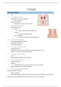 Samenvatting VZC2&colon;deel urologie&colon; theorie Els
