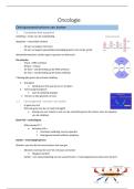 Samenvatting VZC2&colon; theorie Ilse oncologie