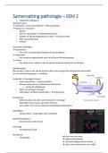 Samenvatting Pathologie &vert; Semester 2 &vert; Hogeschool Gent &vert; 2025&sol;26