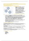 RK Godsdienst &vert; Arteveldehogeschool &vert; 2025&sol;26
