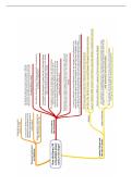 AQA A-Level History The Tudors 1485-1603 &lpar;7042&sol;1C&rpar; Mind maps &sol; Spider diagrams
