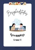 Graad 11 - Besigheidstudies Opsommings 