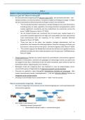 samenvatting deel 2 internationale omgeving