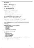 Economie Samenvatting &vert; Topic 7&colon; Marktvormen &vert; Arteveldehogeschool &vert; 2025&sol;26