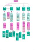 Class I&comma; III Antiarrhythmic Drugs Flow Chart Package