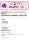 Aparato locomotor anatom&iacute;a